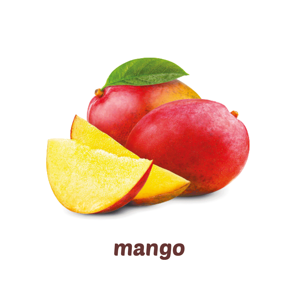 Gelato artigianale Biolee Mango